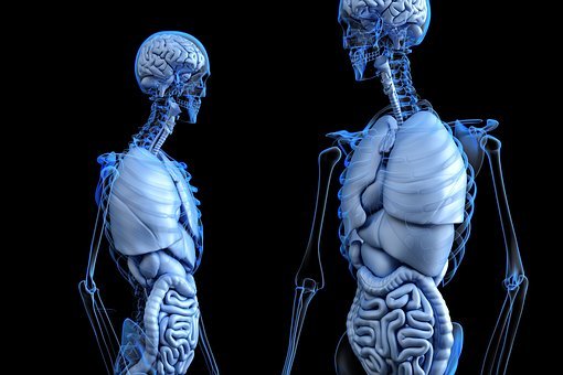 Le transhumanisme sera au coeur des discussions le 3 mai au CHUV