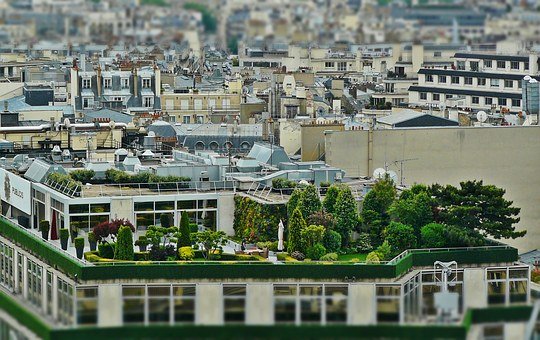 Un nouveau groupe de recherche de l'EPFL va s'intéresser à la relation entre nature et milieu urbain