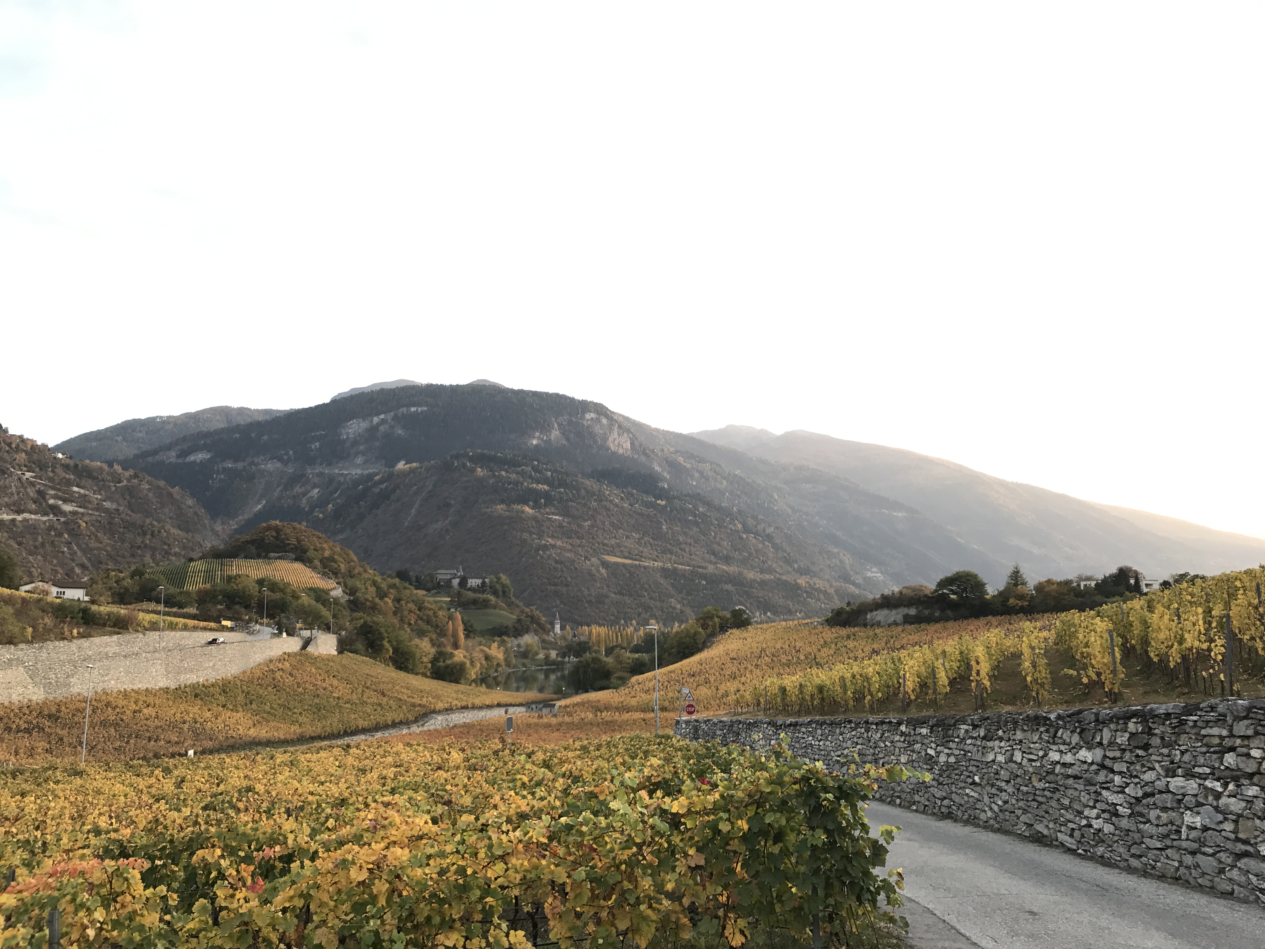 La Fédération Valaisanne des Vignerons veut repenser la structure parcellaire du vignoble