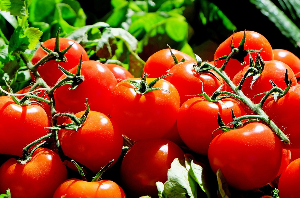 Les marchés d’Yvorne sont de retour de mai à octobre