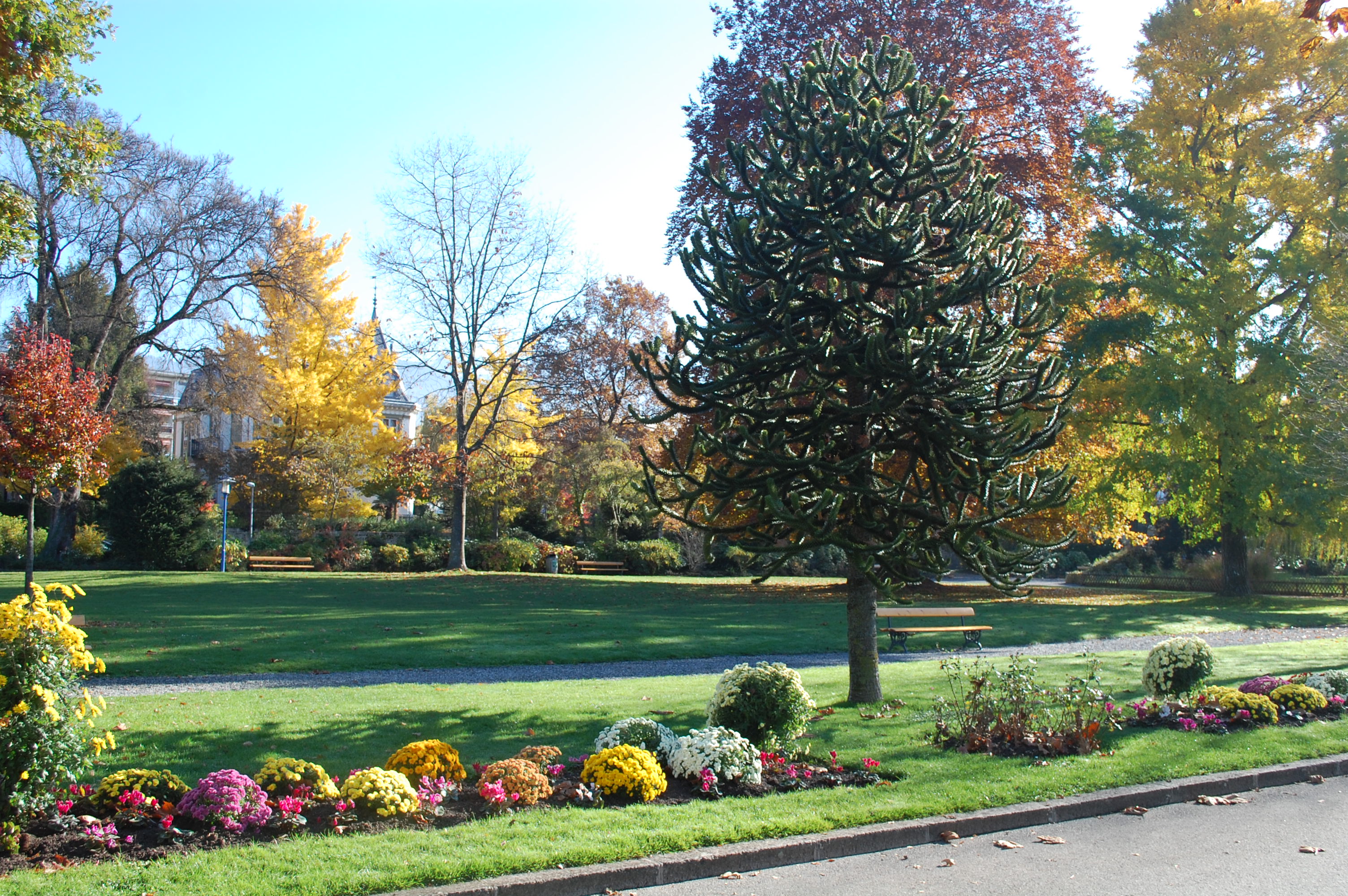 L'association Sauver le jardin Roussy veut se donner un nouvel élan à La Tour-de-Peilz