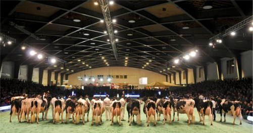Swiss Expo et ses vaches quittent Lausanne pour Genève
