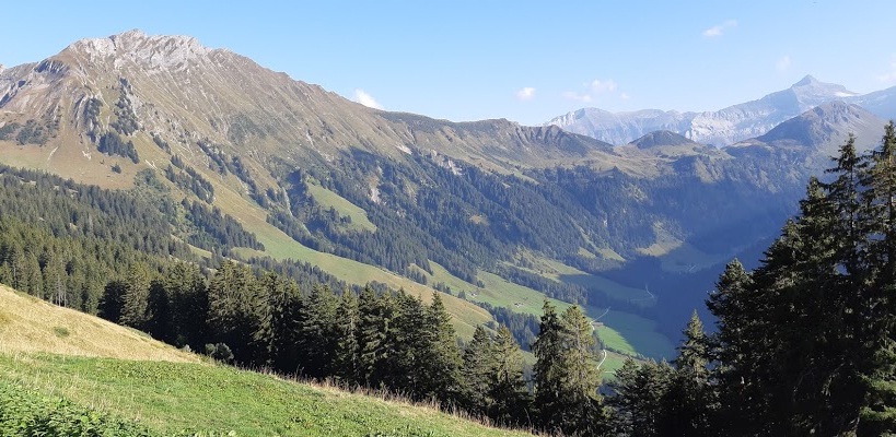 Pays-d'Enhaut: des bénévoles seront aux petits soins de La Pierreuse