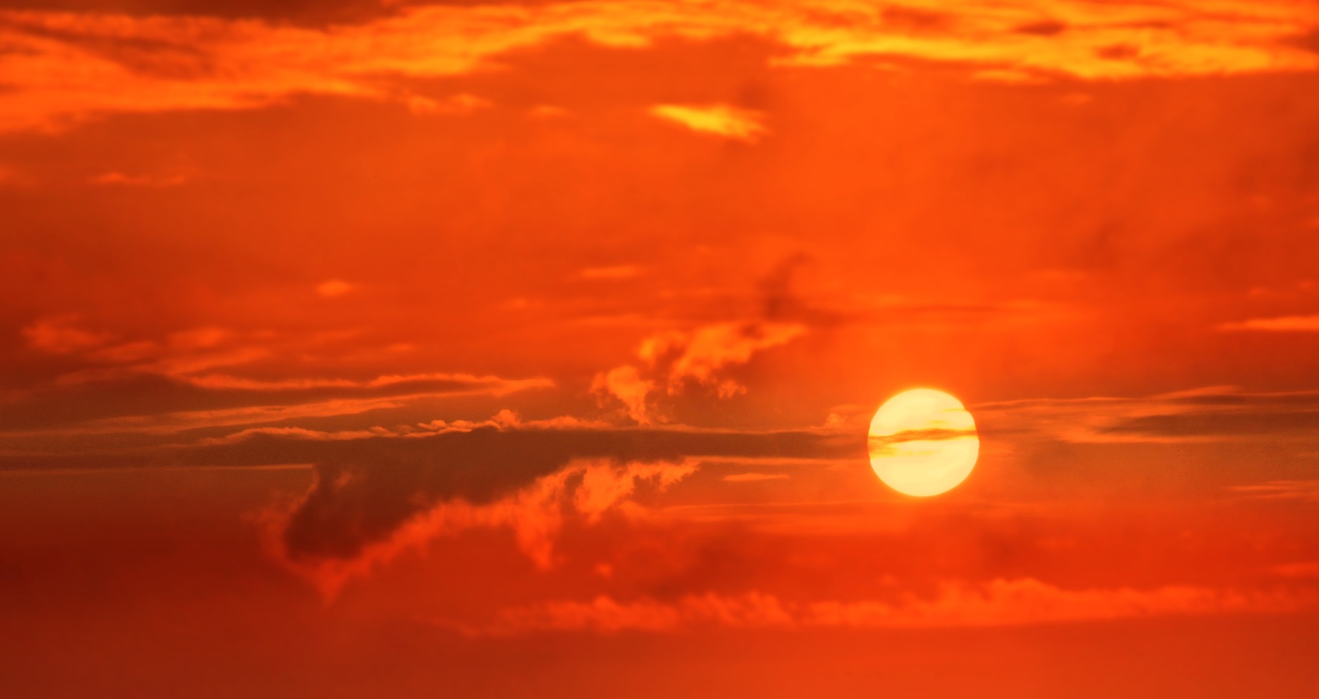 La canicule revient, et avec elle quelques consignes de prévention