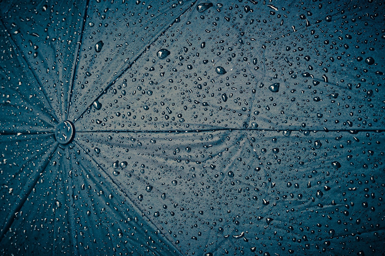 La pluie met fin à une représentation de la FeVi