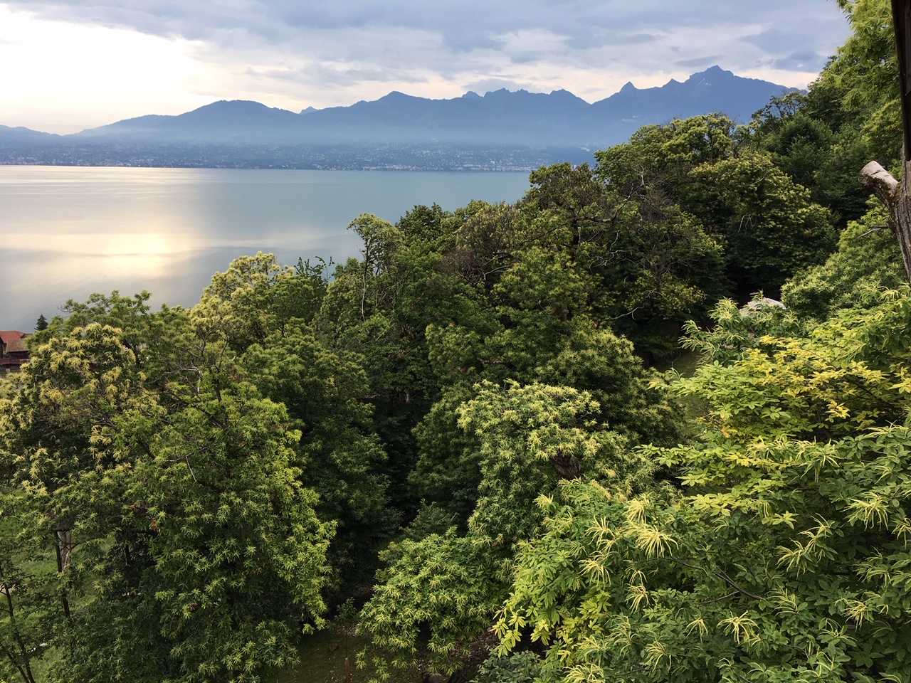 Le Fonds Suisse pour le paysage soutient la réhabilitation de la châtaigneraie de Saint-Gingolph