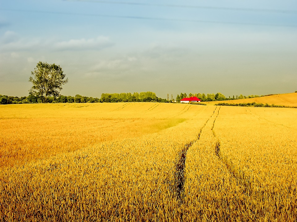 Les remises d’impôts octroyées aux agriculteurs vaudois sont prolongées par le Conseil d’Etat