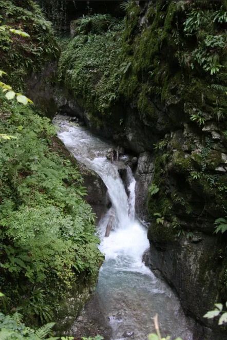 Deux jeunes hommes ont perdu la vie sur les hauts de Montreux