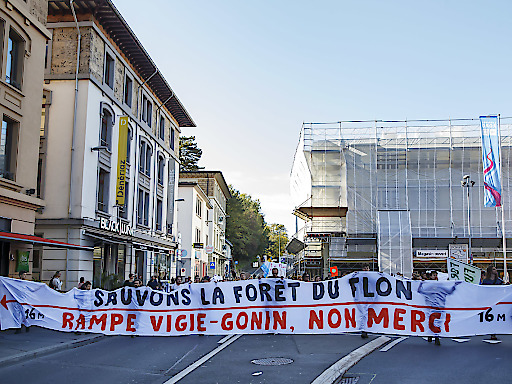 La sauvegarde de la forêt du Flon a réuni une centaine de personnes à Lausanne