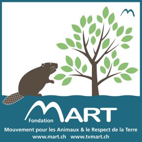 La fondation Mart souffle ses 20 bougies