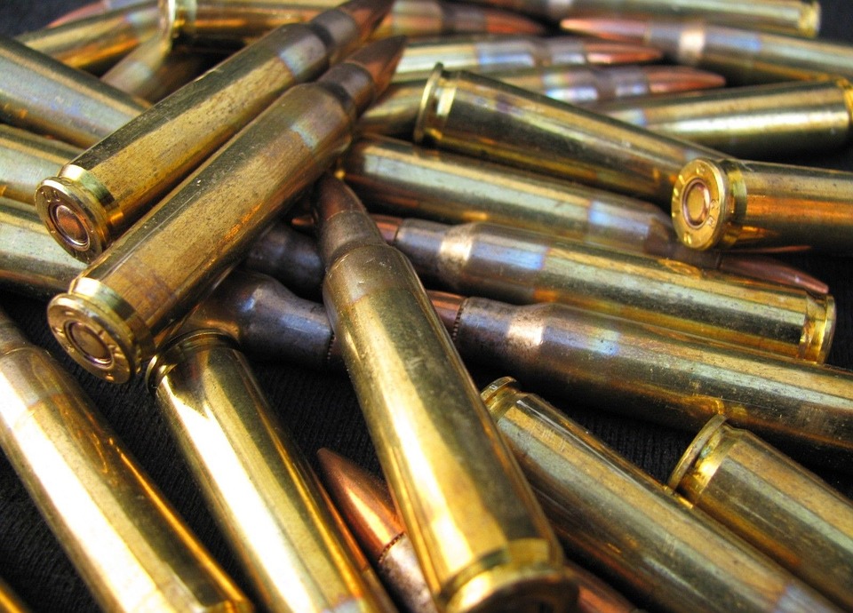 Les munitions immergées dans le Léman inquiètent une association