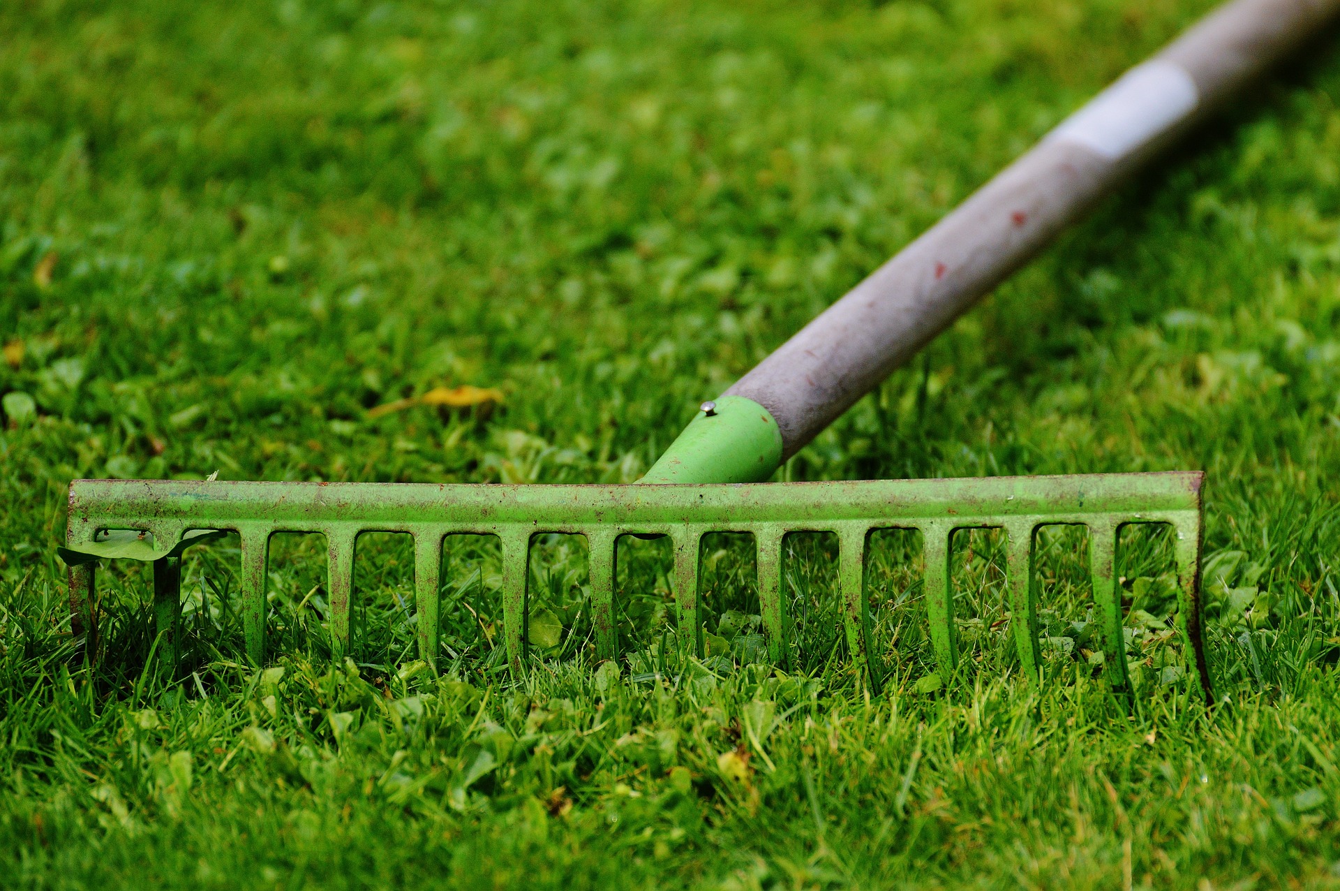 Aigle ne veut plus de pesticides de synthèse dans ses espaces verts