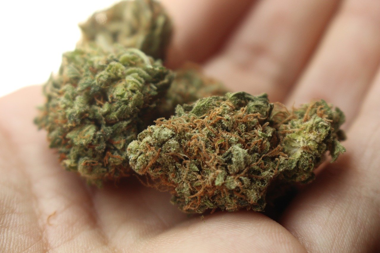 Une étude dévoile les chiffres du marché du cannabis dans le canton de Vaud