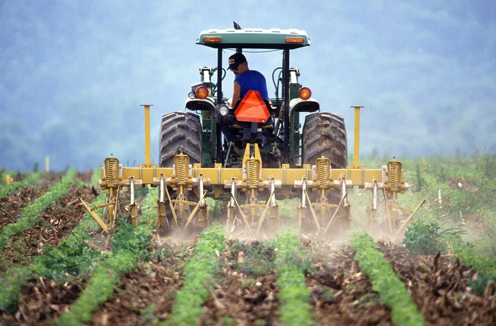 Vaud dévoile son Plan phyto pour une agriculture plus respectueuse de la nature