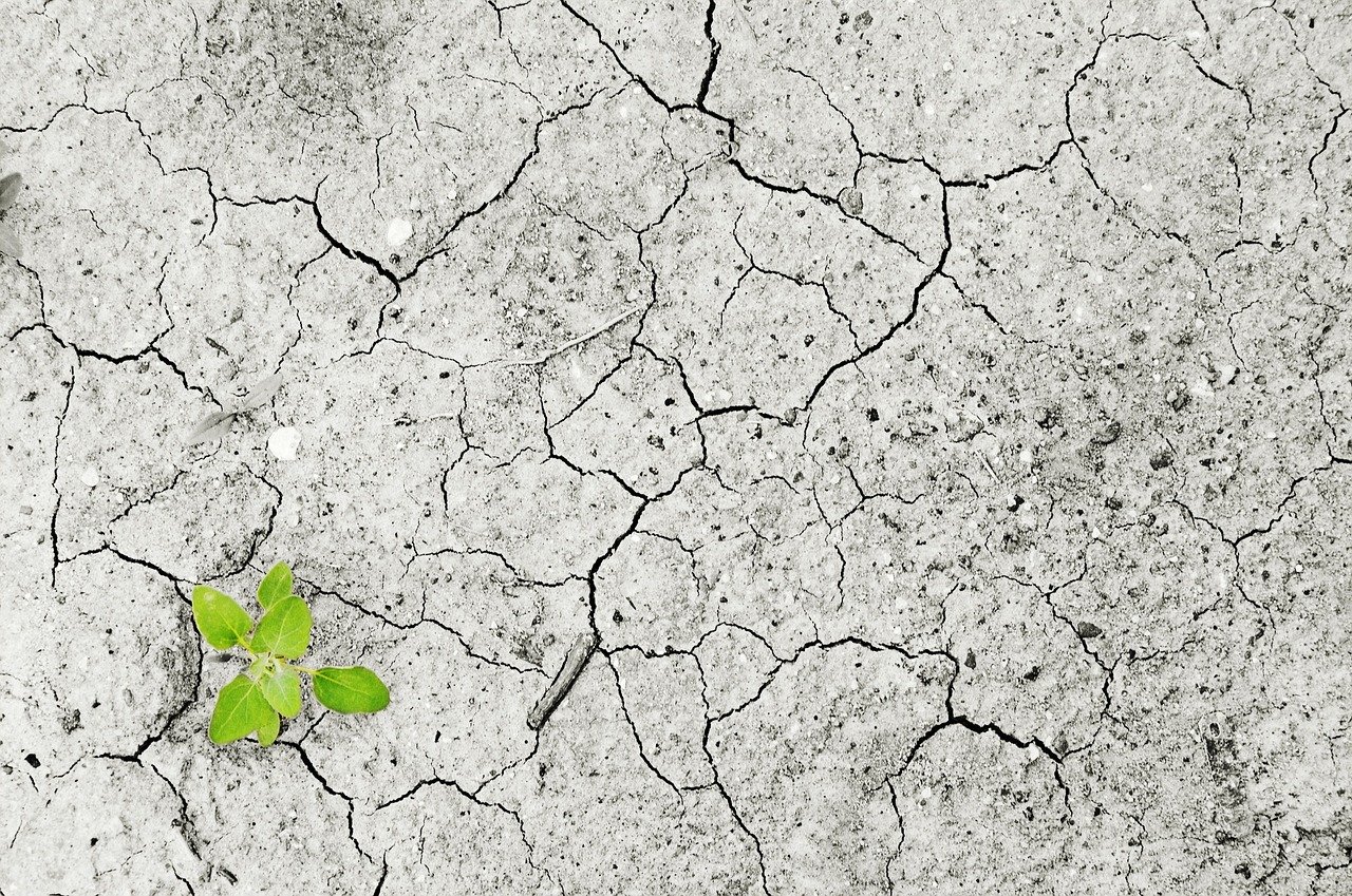 Le climat aura sa journée dans le calendrier du canton de Vaud