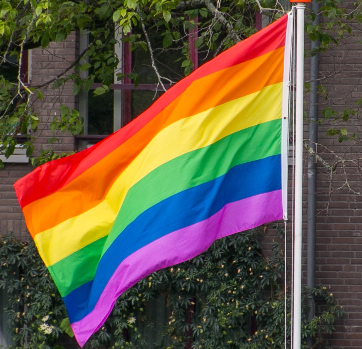 Une élue veut inscrire la lutte contre la transphobie et l'homophobie dans la Constitution vaudoise