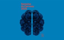 Zoom sur le cerveau dans les hôpitaux cantonaux du 16 au 20 mars