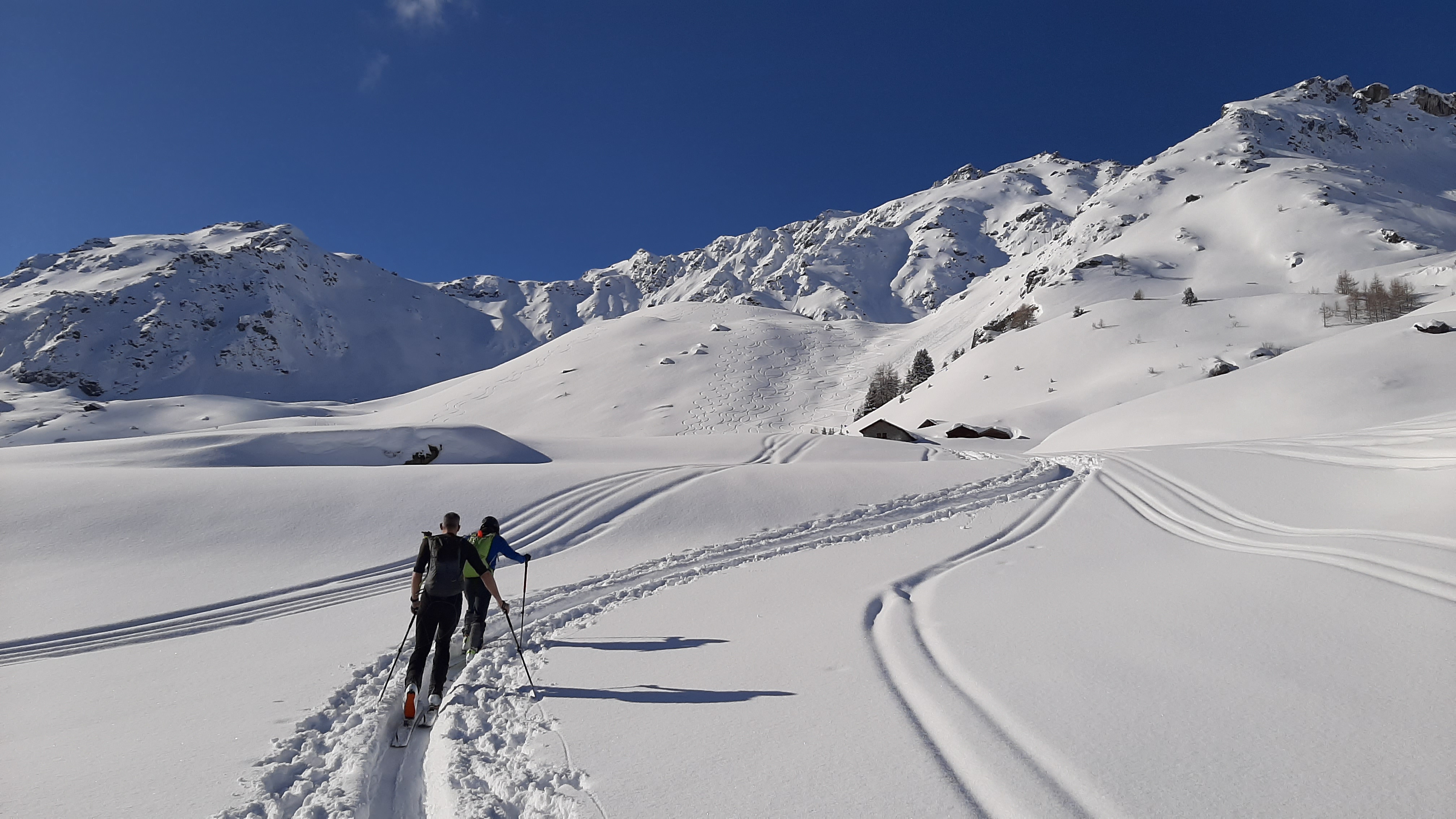 Les sports hivernaux mettent à mal la quiétude de la faune