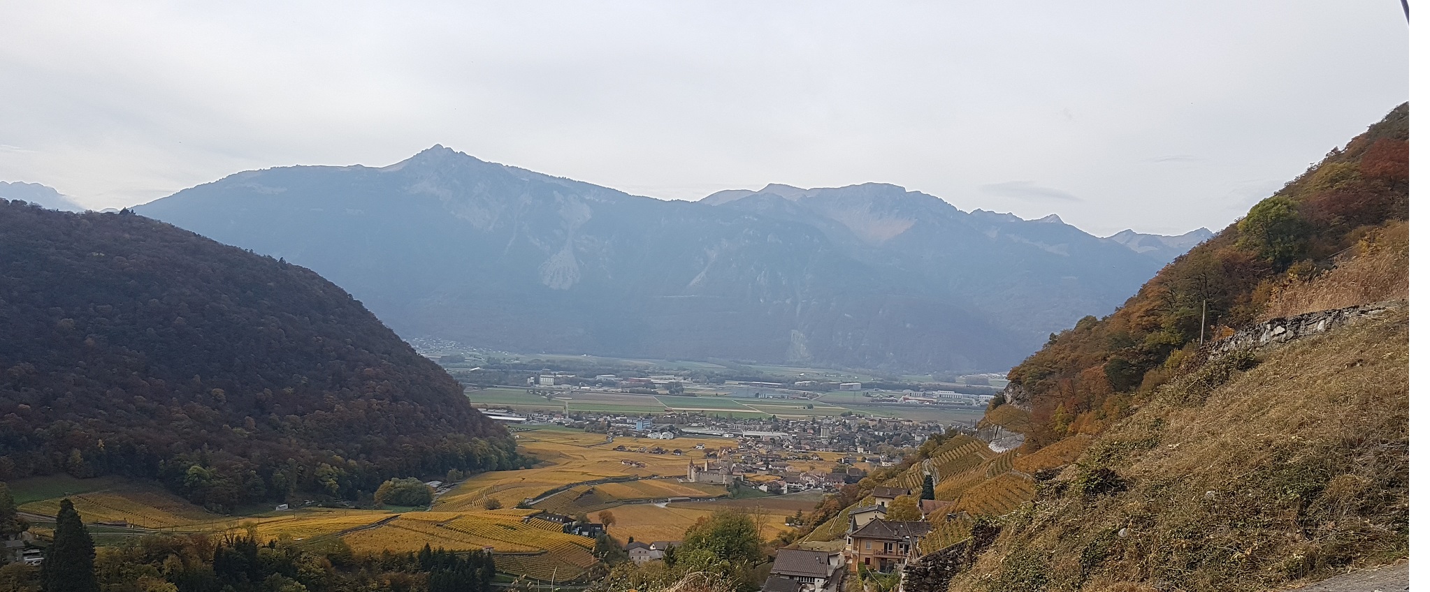 Une conférence d'Henry De Lesquen à Aigle fâche SolidaritéS