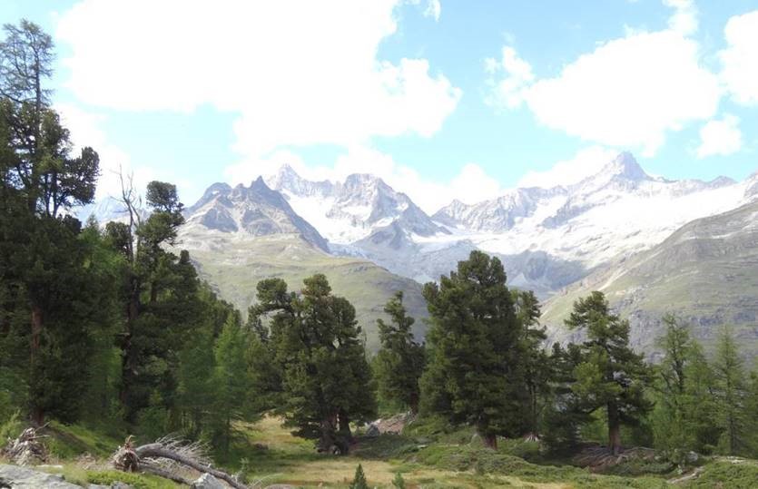 Deux nouvelles zones pour préserver les forêts valaisannes