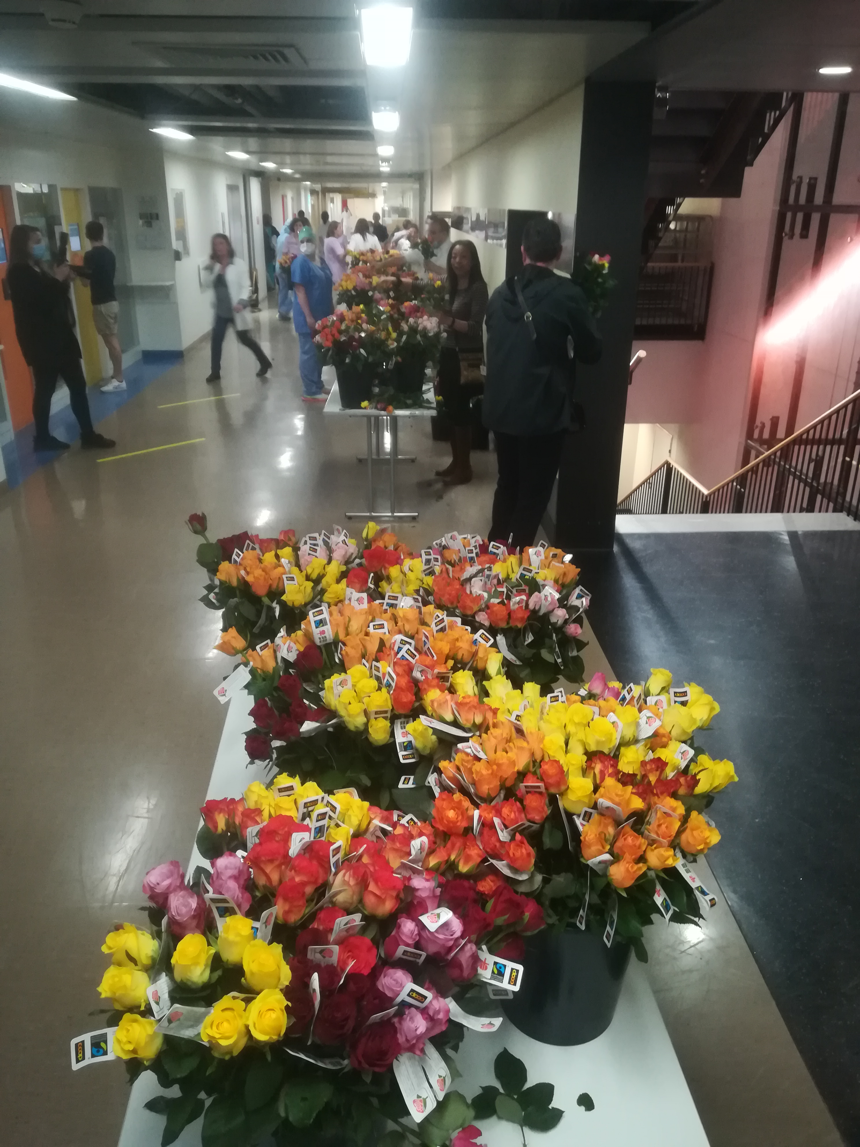 Des milliers de roses pour le personnel soignant en Suisse