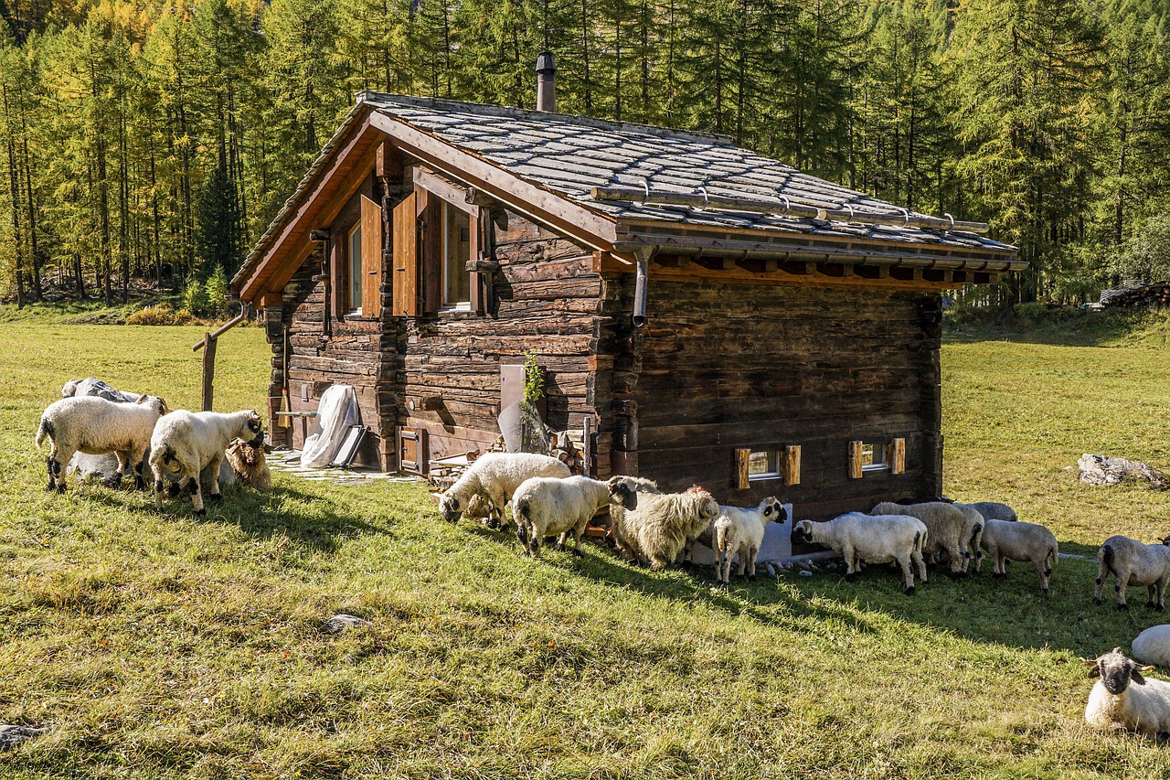 L'Aide suisse à la montagne a versé plus de 35 millions de francs en 2019