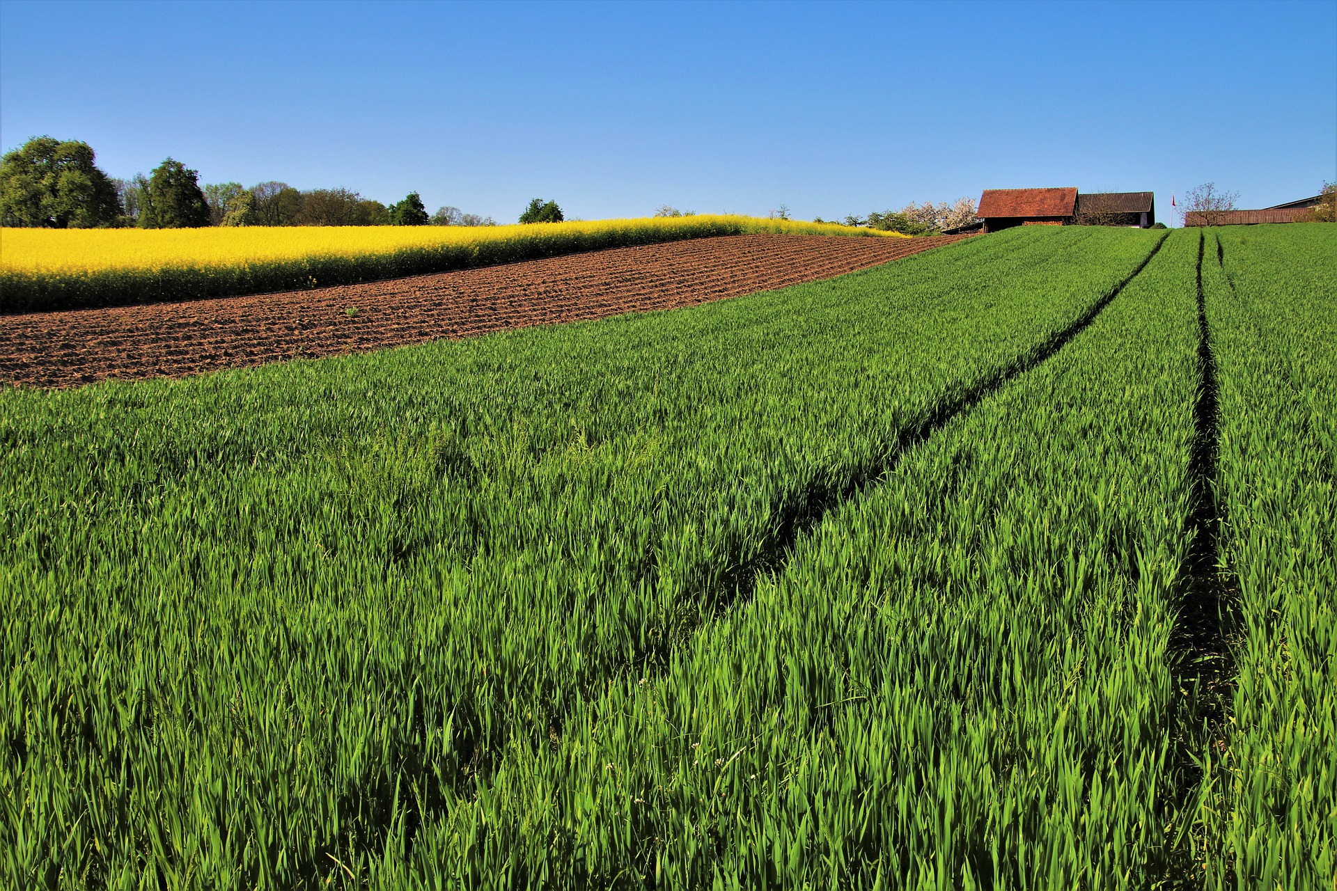 Bio-Agri et Bio-Vino auront lieu de manière interactive