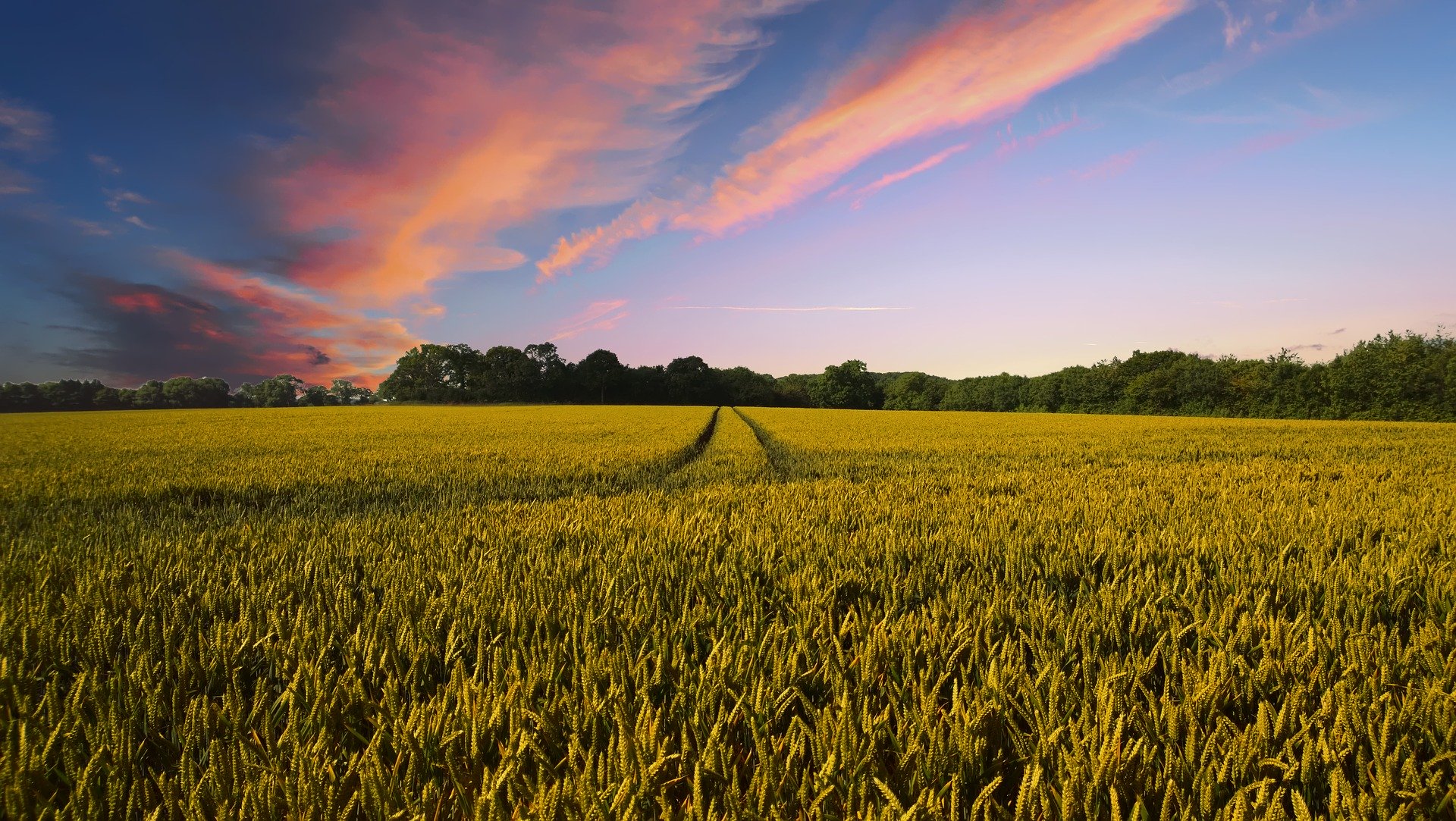 "Terre d'appel", un projet pour renouer le dialogue entre les agriculteurs et la population
