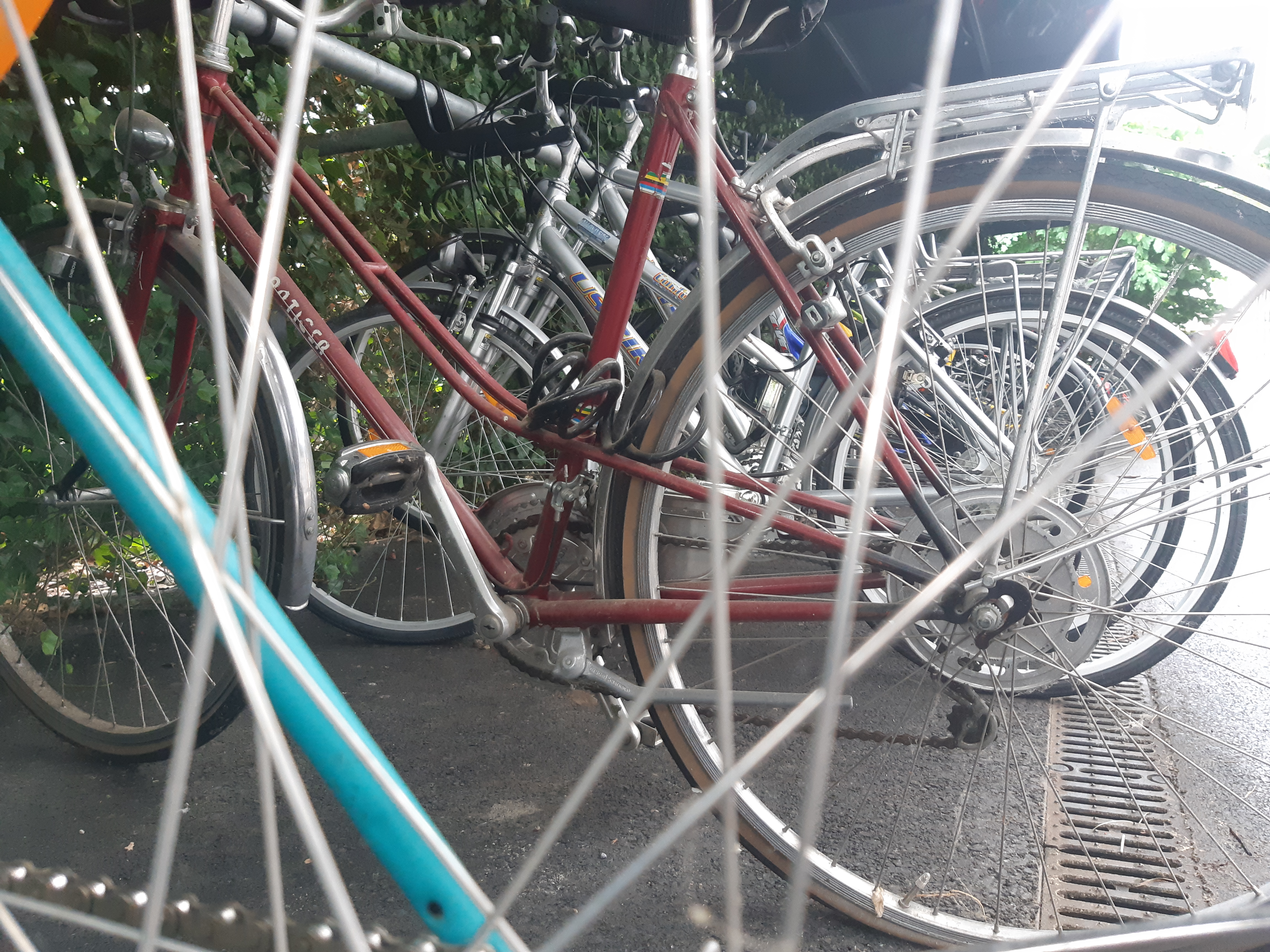 Coronavirus: Pro Vélo Vaud sourit, Pro Vélo Valais fait la moue