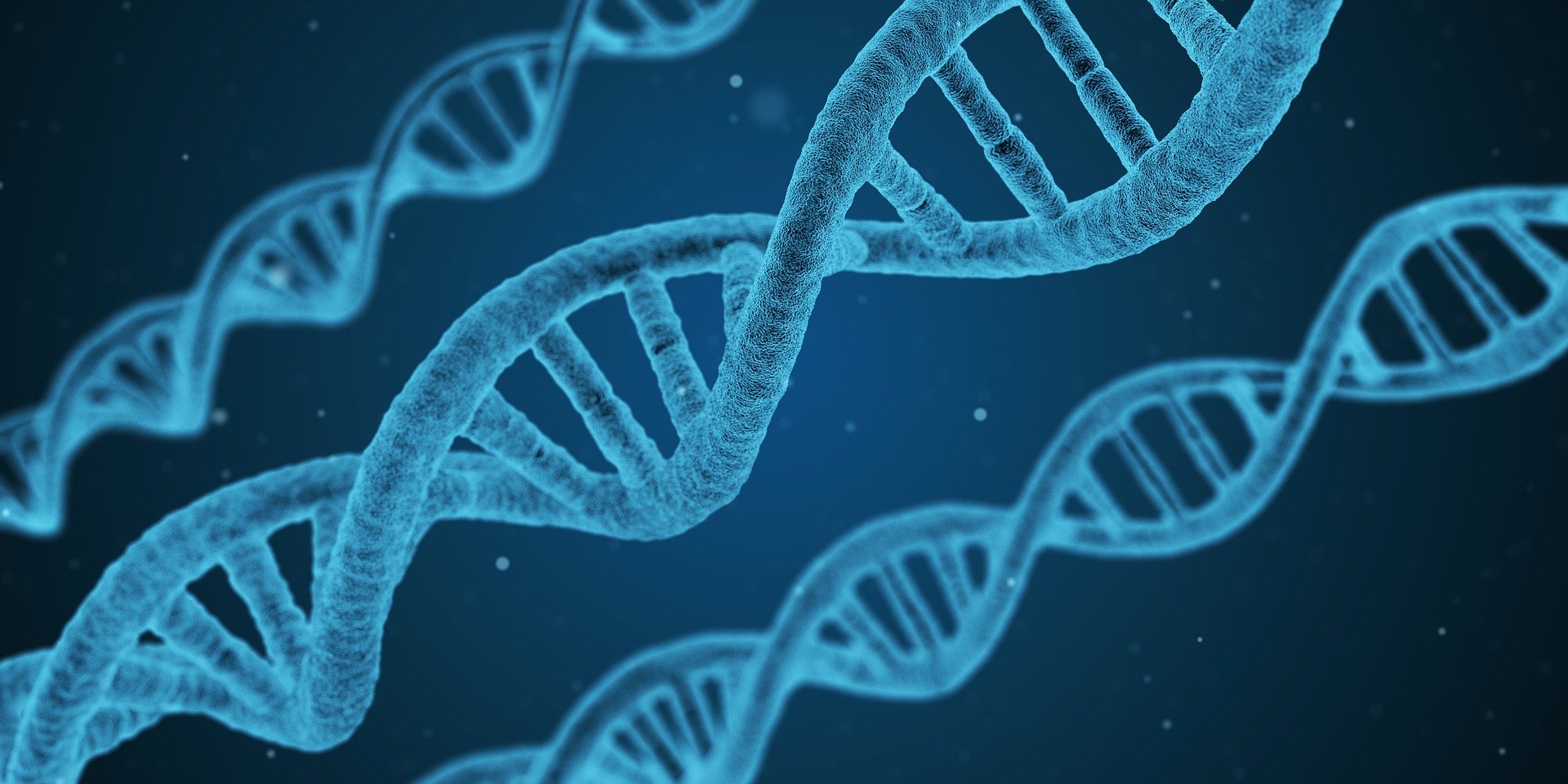 Un nouveau bâtiment dédié aux sciences de la vie sur le Biopôle d'Epalinges
