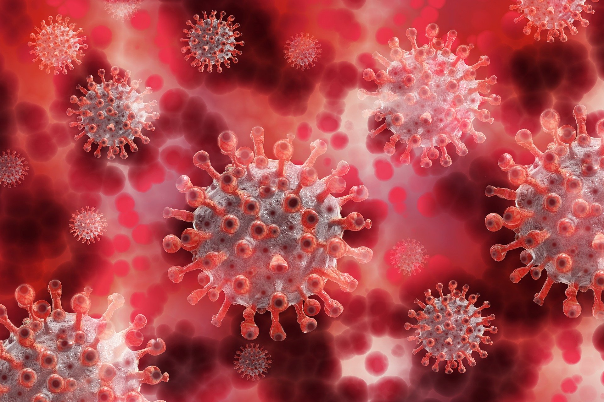 COVID-19: un test sérologique développé au CHUV choisi pour les études populationnelles suisses