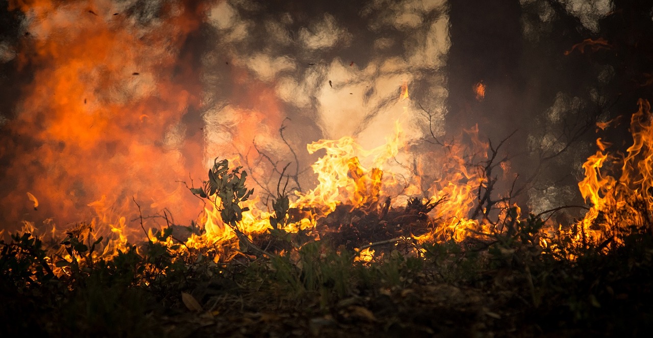Danger marqué d'incendies de forêt dans le Chablais valaisan
