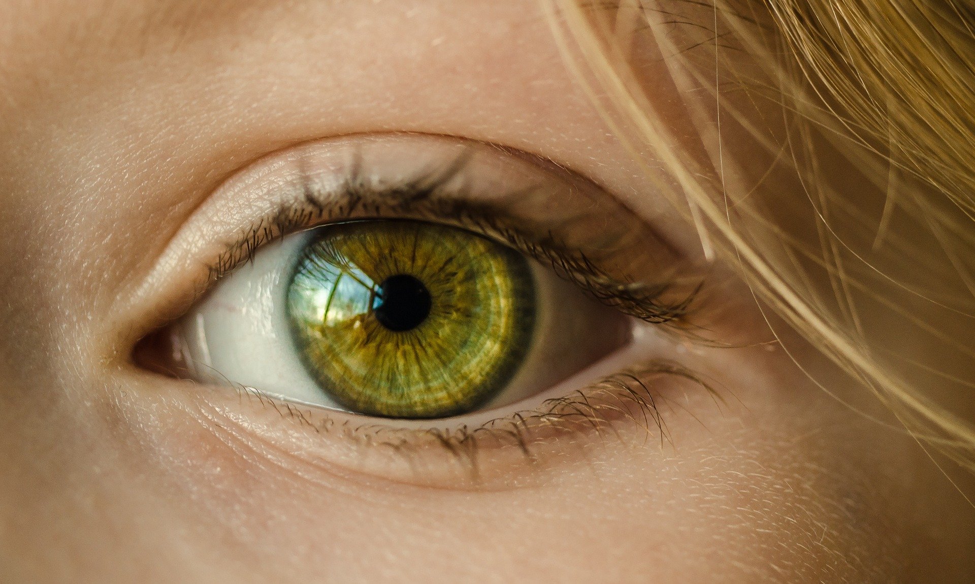Amélioration en vue pour l'imagerie de l'oeil au CHUV