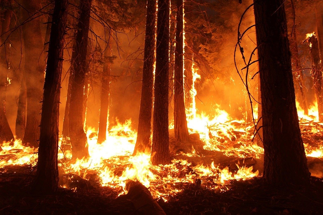 Danger localement marqué d'incendie de forêt en Valais. Prudence réclamée à l'approche de la Fête nationale