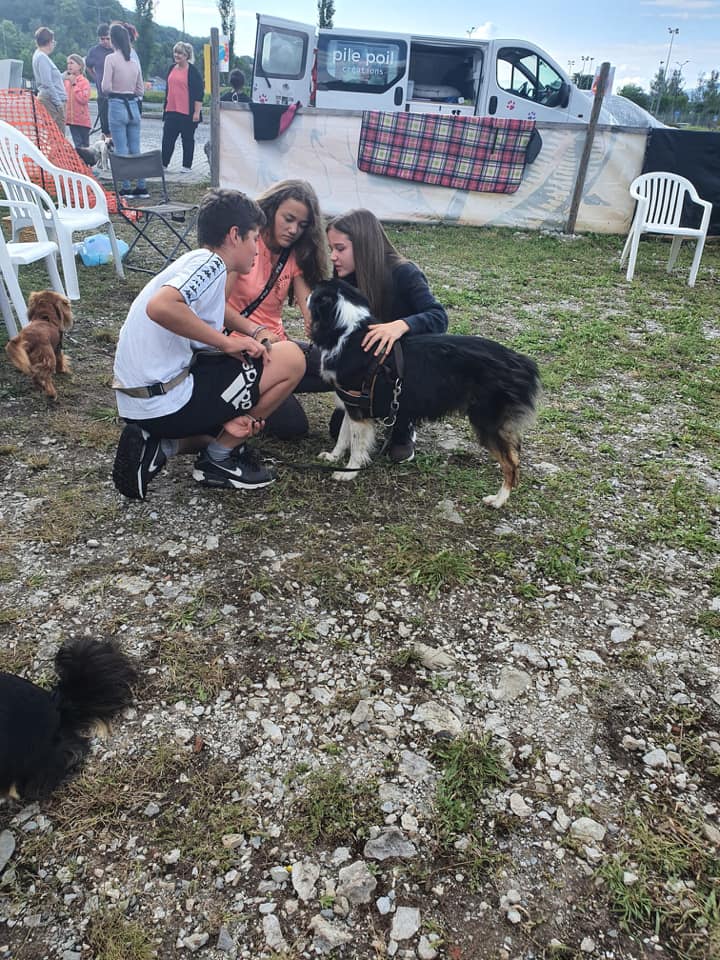 Neuf enfants participent à un camp canin au Bouveret