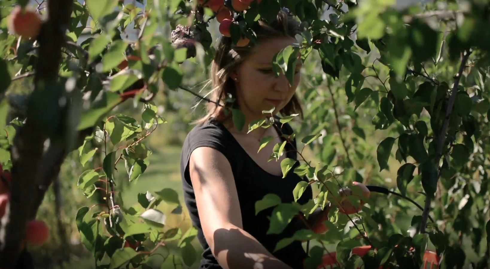 Des vidéos pour motiver les apprentis à s'engager dans la filière agricole 