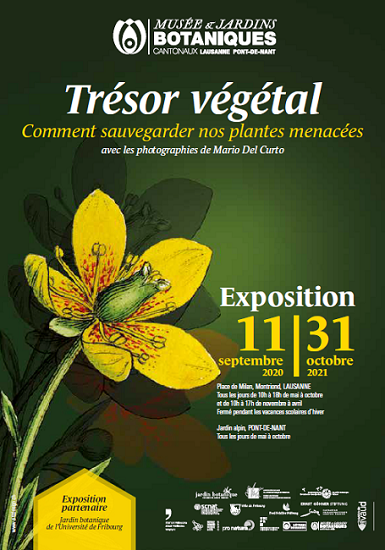 Trésor végétal. Comment sauvegarder nos plantes menacées