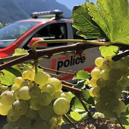 Valais : sécurité de la vigne au pressoir