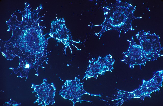 Le CHUV et le CERN collaborent pour le traitement du cancer