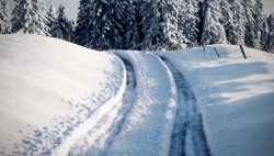 Prudence en forêt et sur les routes dans les Alpes vaudoises