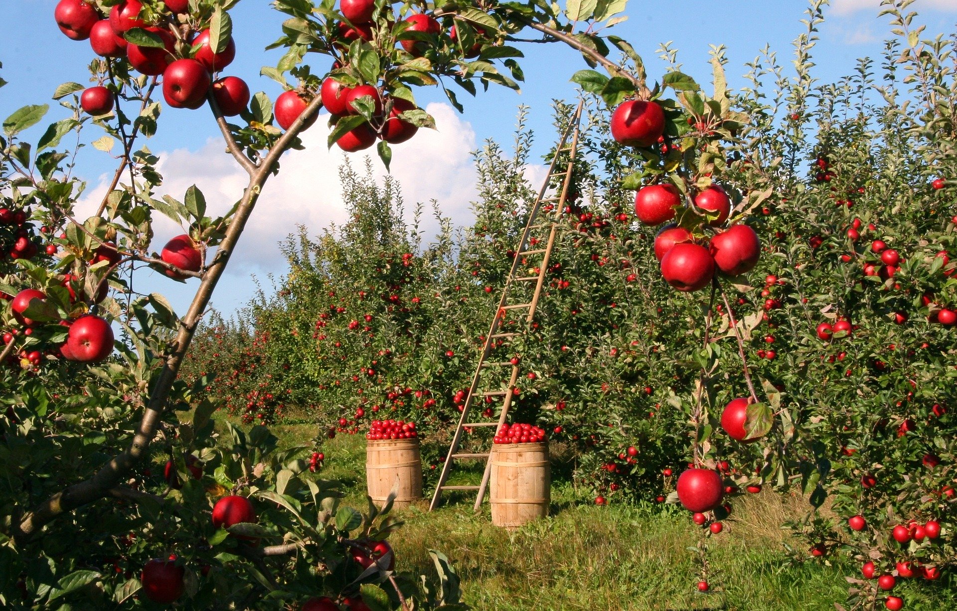 IMAGO, le pôle cantonal vaudois dédié aux métiers de la terre devient concret
