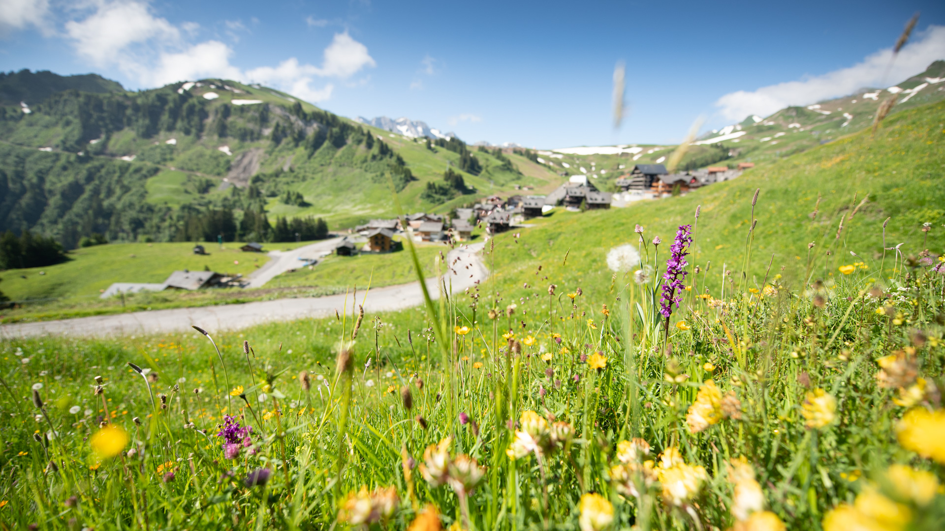 Communales VS : un seul changement pour la Municipalité de Val d'Illiez