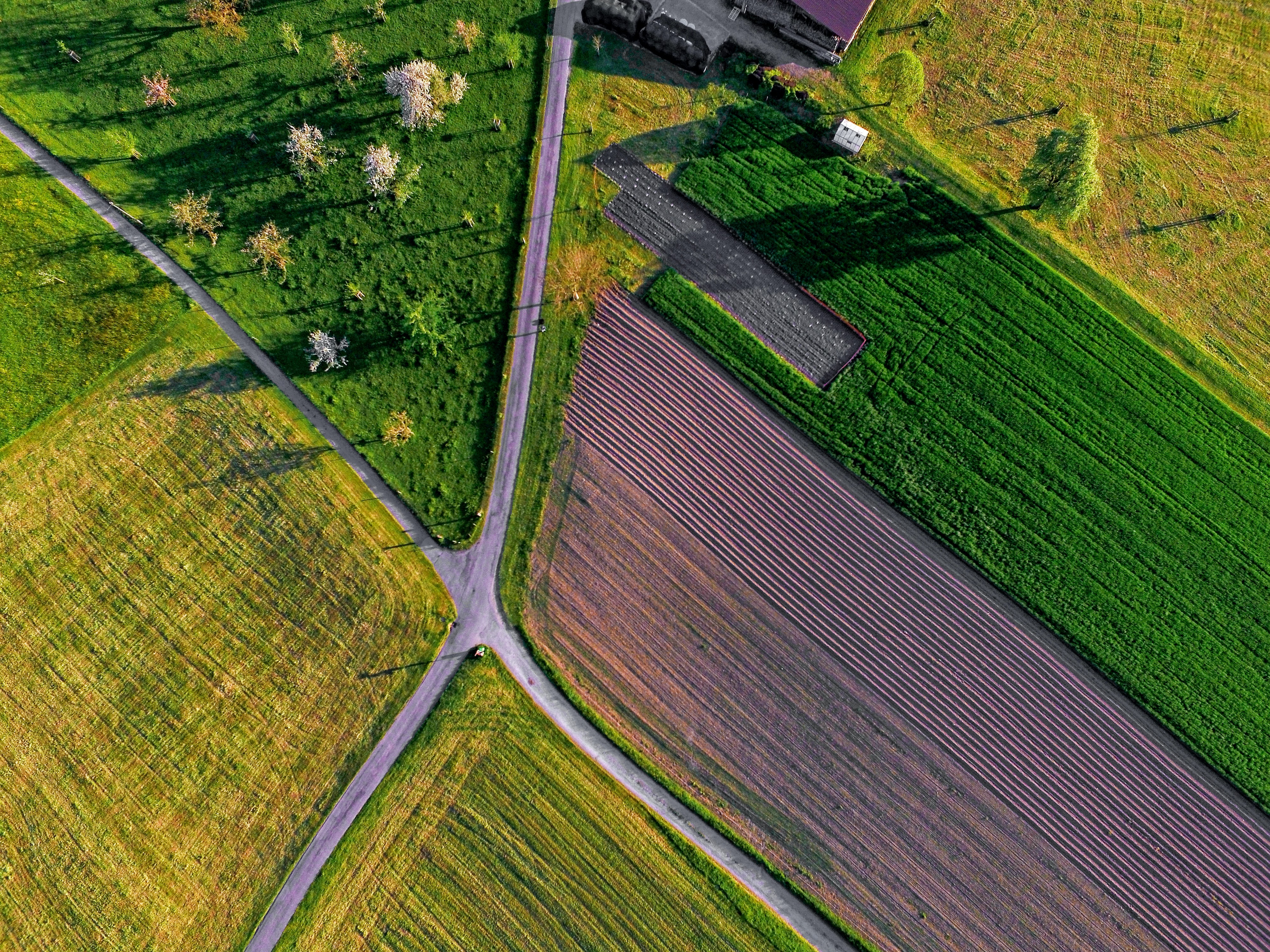 Feu vert pour le remaniement de terres agricoles dans le Lötschental