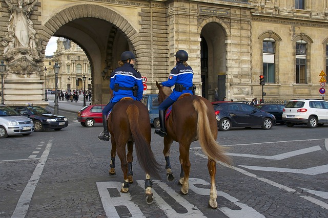 Si vous vous déplacez en France, pensez-y !