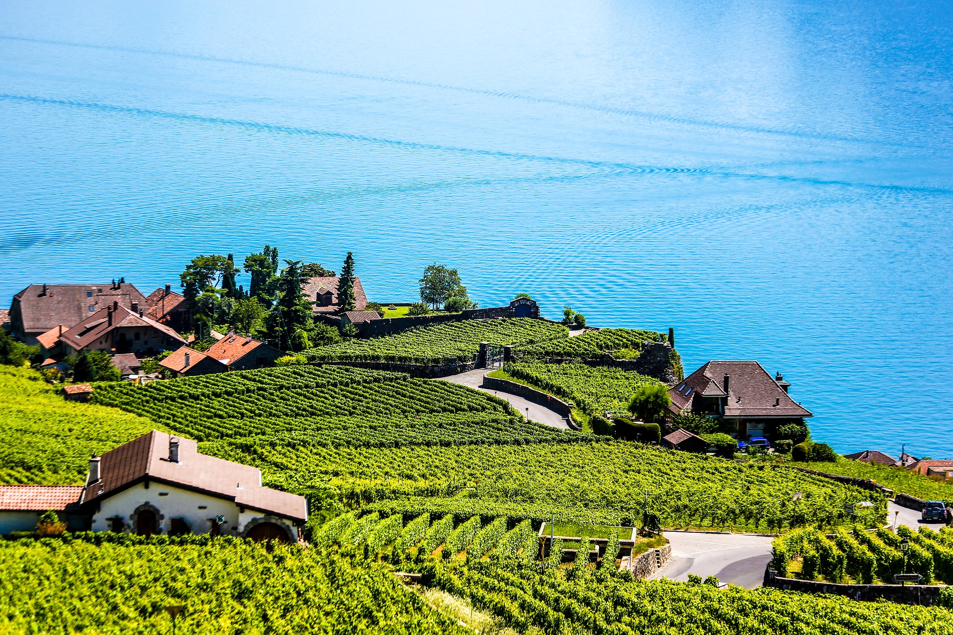 Vins vaudois: nouveau président à la tête de l'interprofession