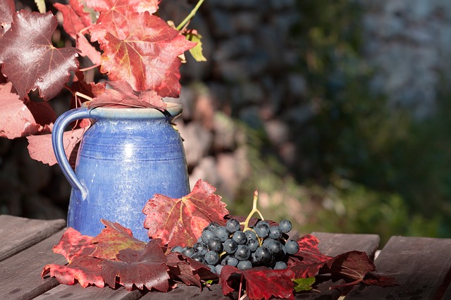 En Valais, le bilan des vendanges 2020 a été fait