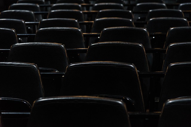 Des indemnités de près de 11,5 millions de francs ont été versées au secteur culturel valaisan à fin 2020