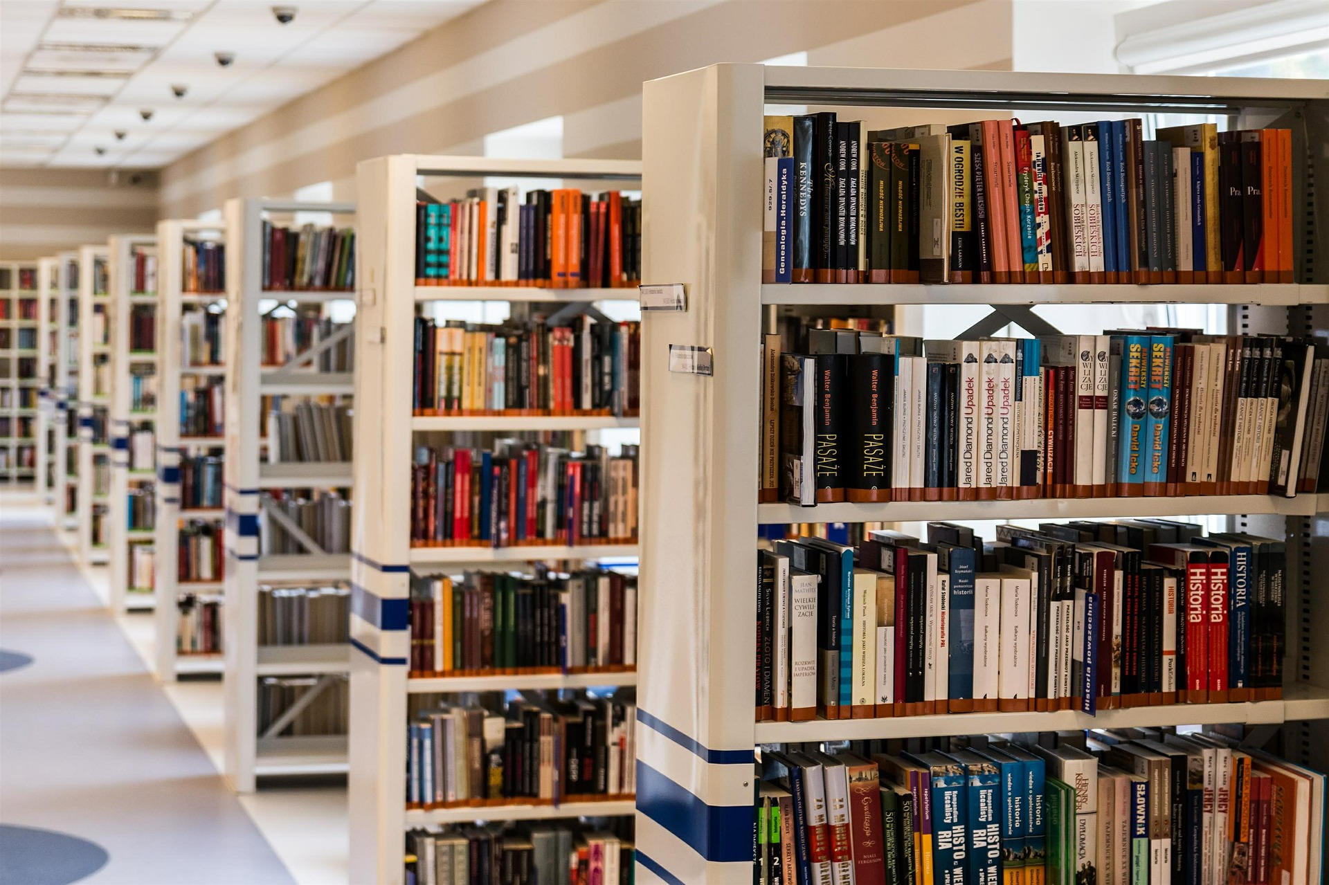 La Samedi des Bibliothèques se déroule le 13 mars sous le thème "Même pas peur"