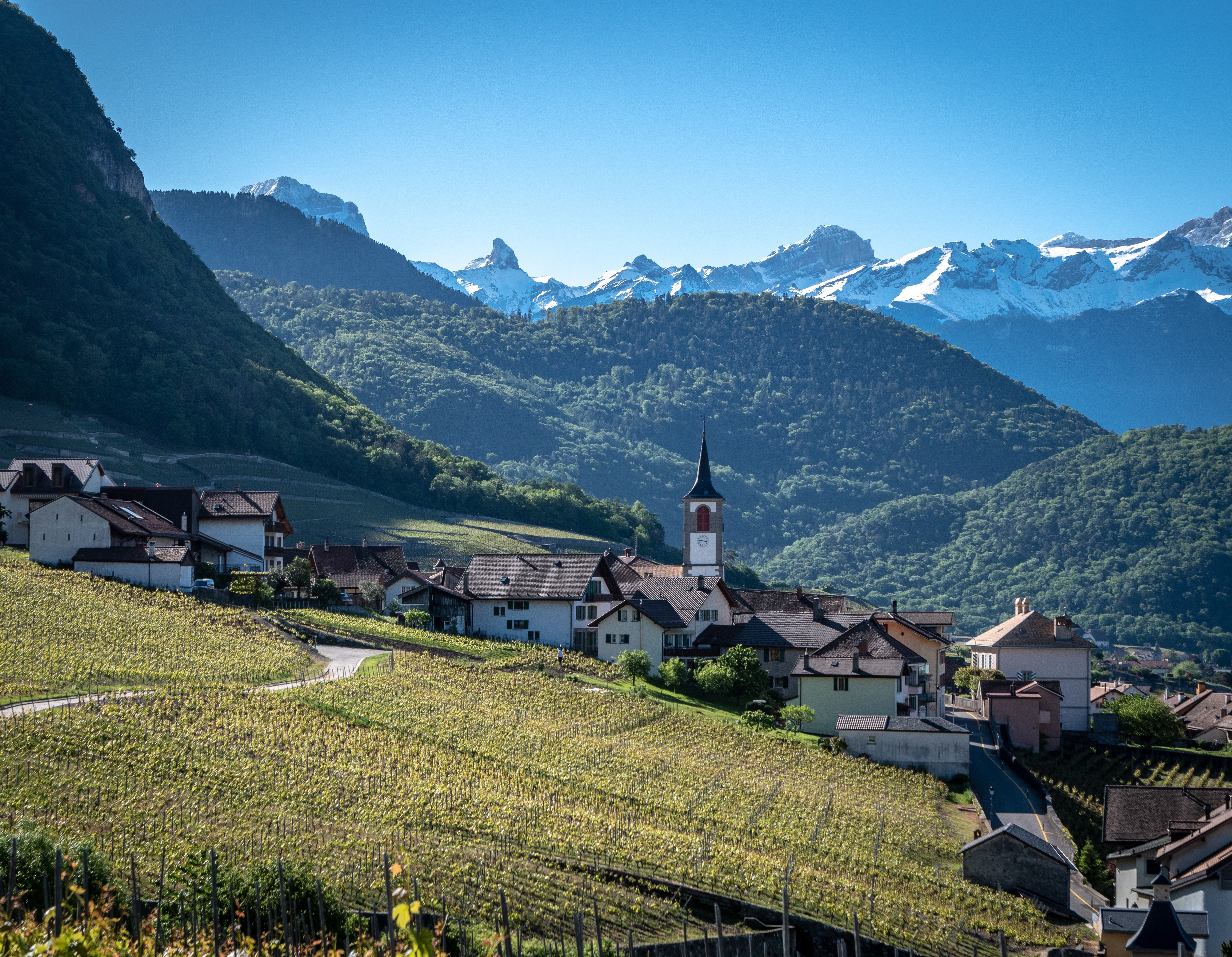 Communales vaudoises: Edouard Chollet restera le syndic d'Yvorne