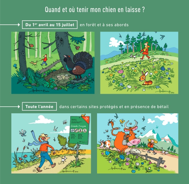 Le canton de Vaud rappelle les bons comportements à adopter dans les espaces naturels